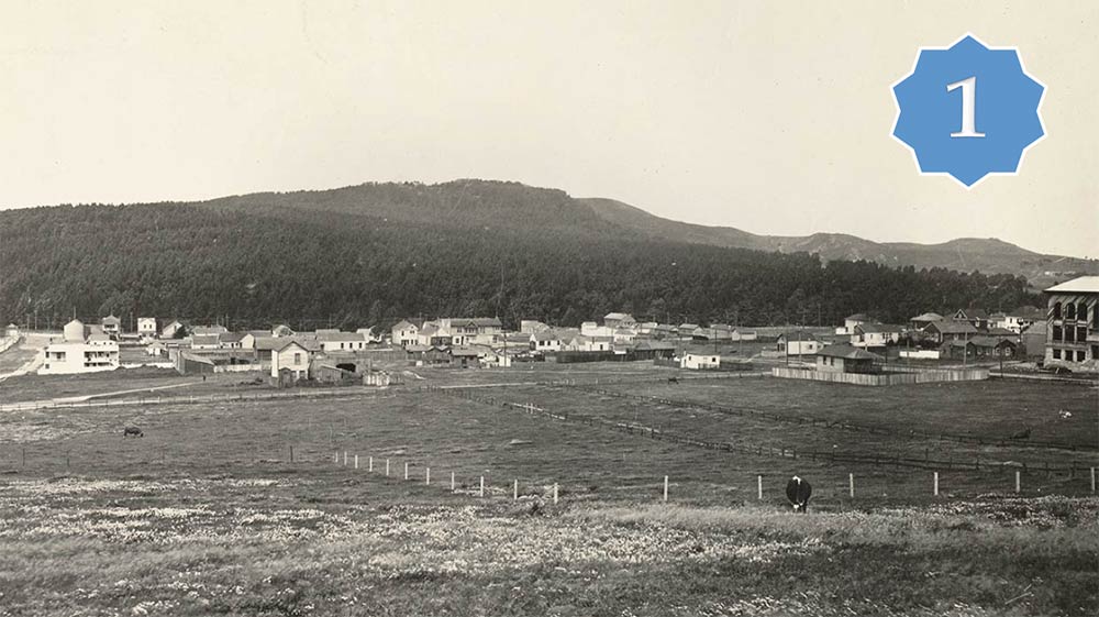 View of wooded Mount Davidson