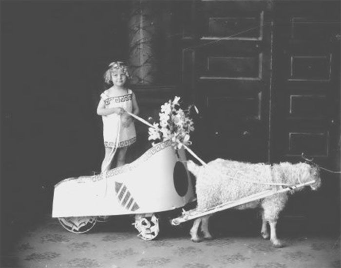 Child riding goat cart