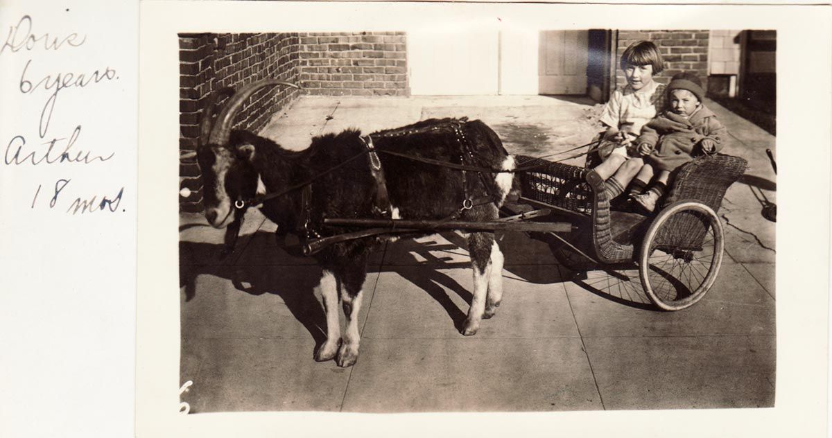 goat cart
