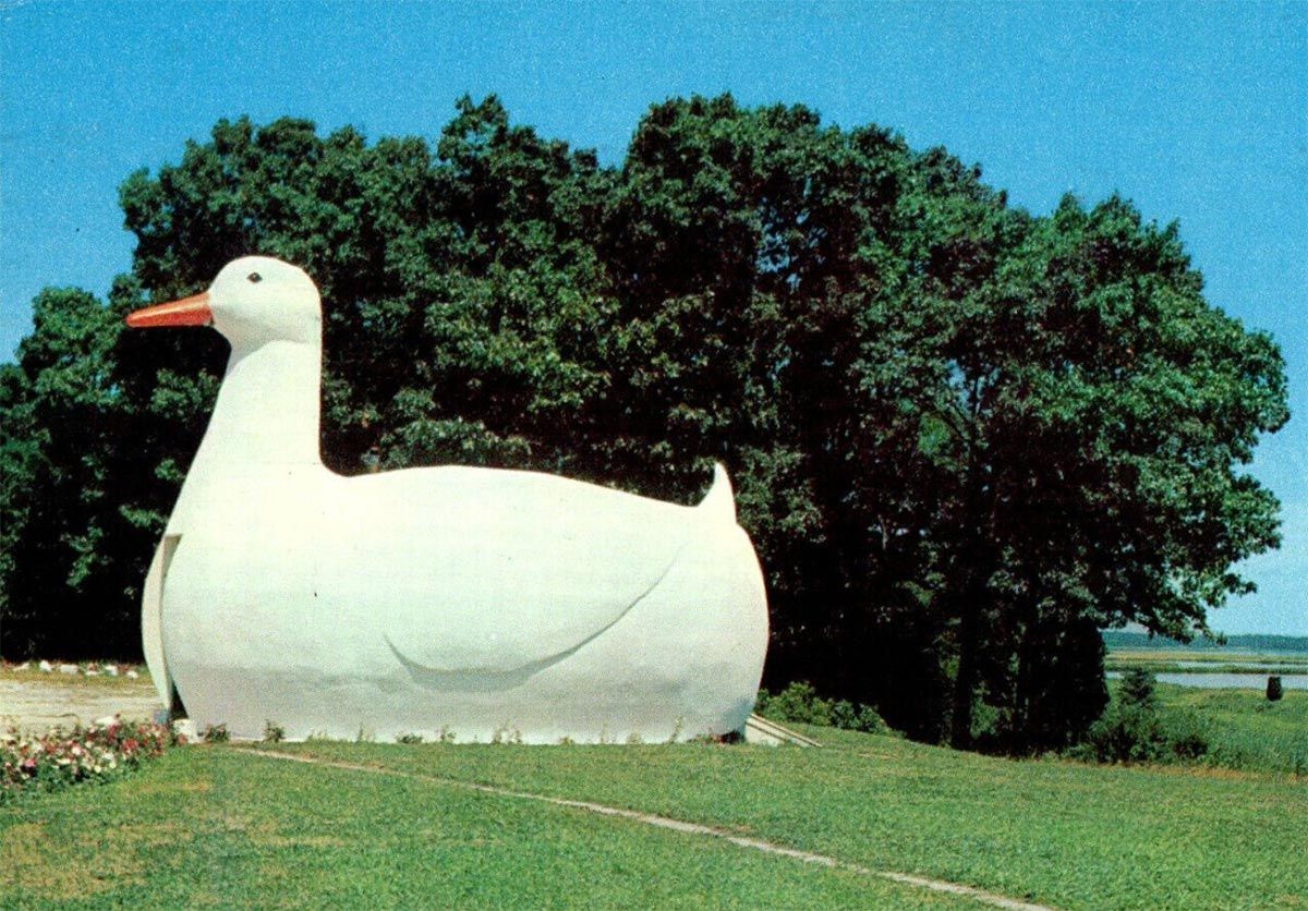 Big Duck