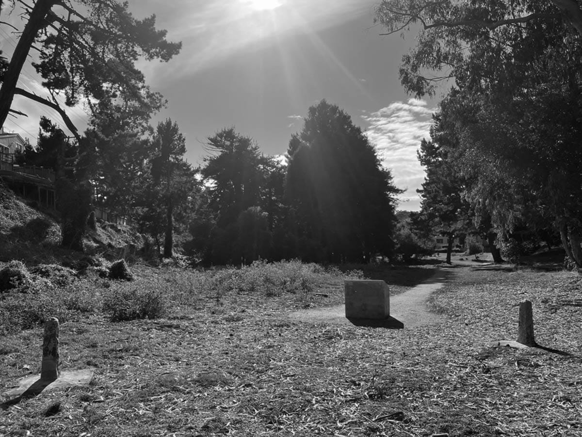 View of the Broderick-Terry duel site with sun breaking through