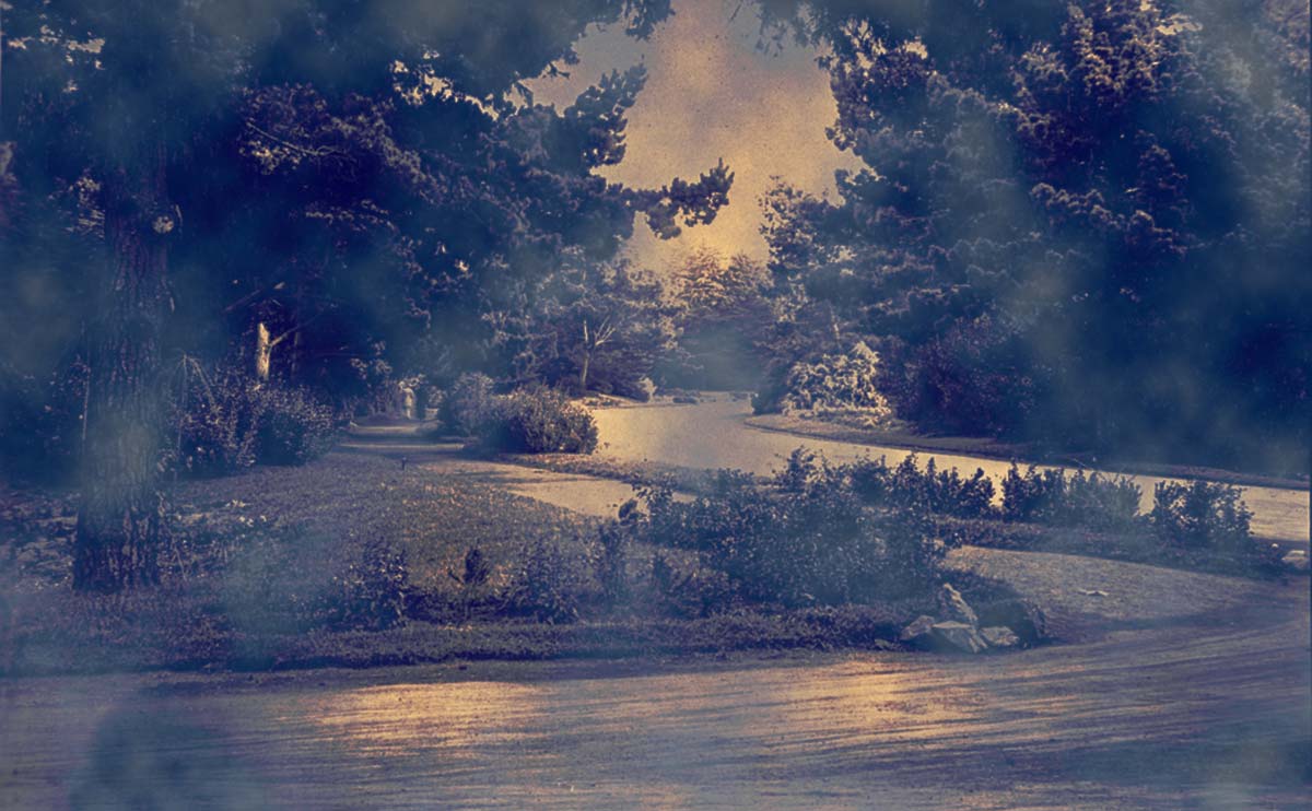 Golden Gate Park South Drive