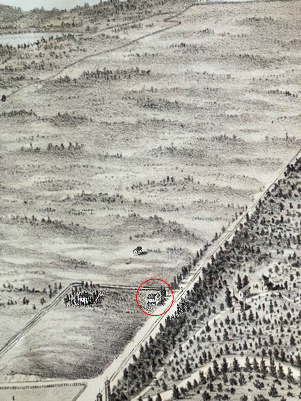 1892 lithograph of Golden Gate Park