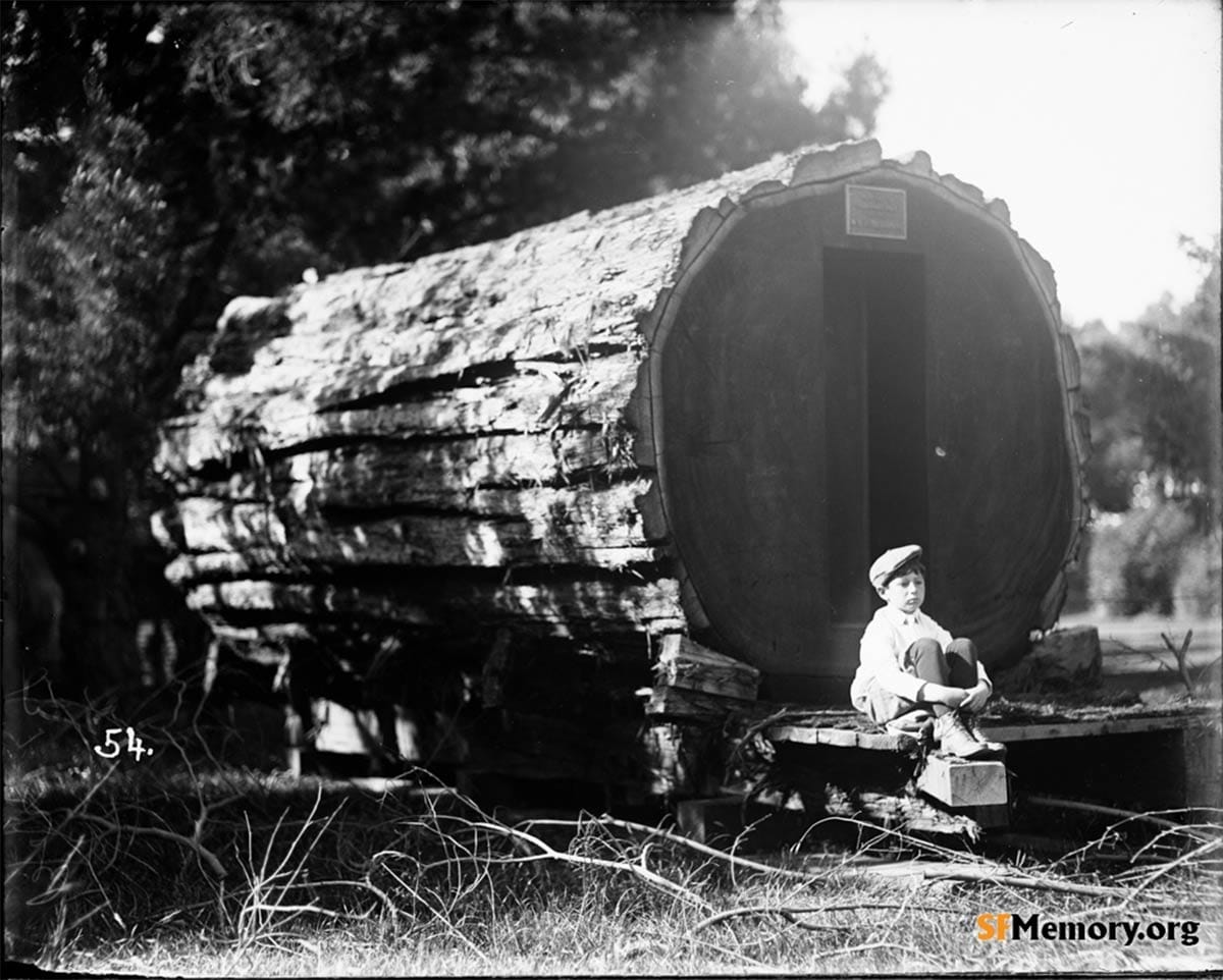 Andrew Crow at door of log house