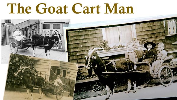 The Goat Cart Man