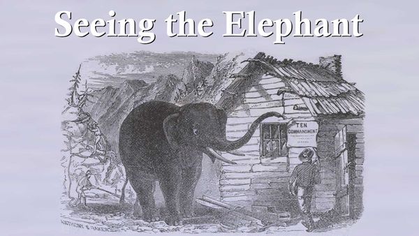 Seeing the Elephant