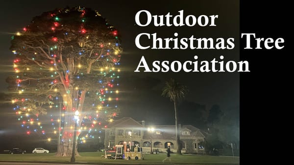 Outdoor Christmas Tree Association