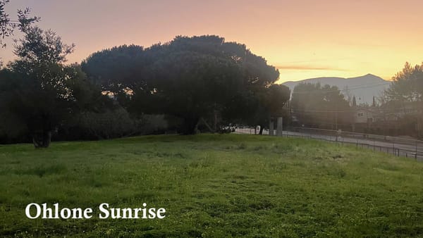 Ohlone Sunrise