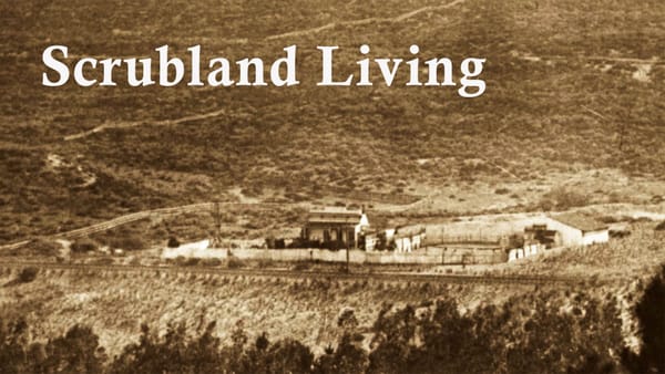 Scrubland Living